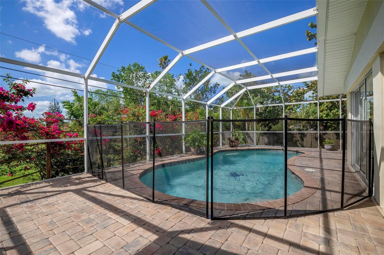 Beautiful Pool