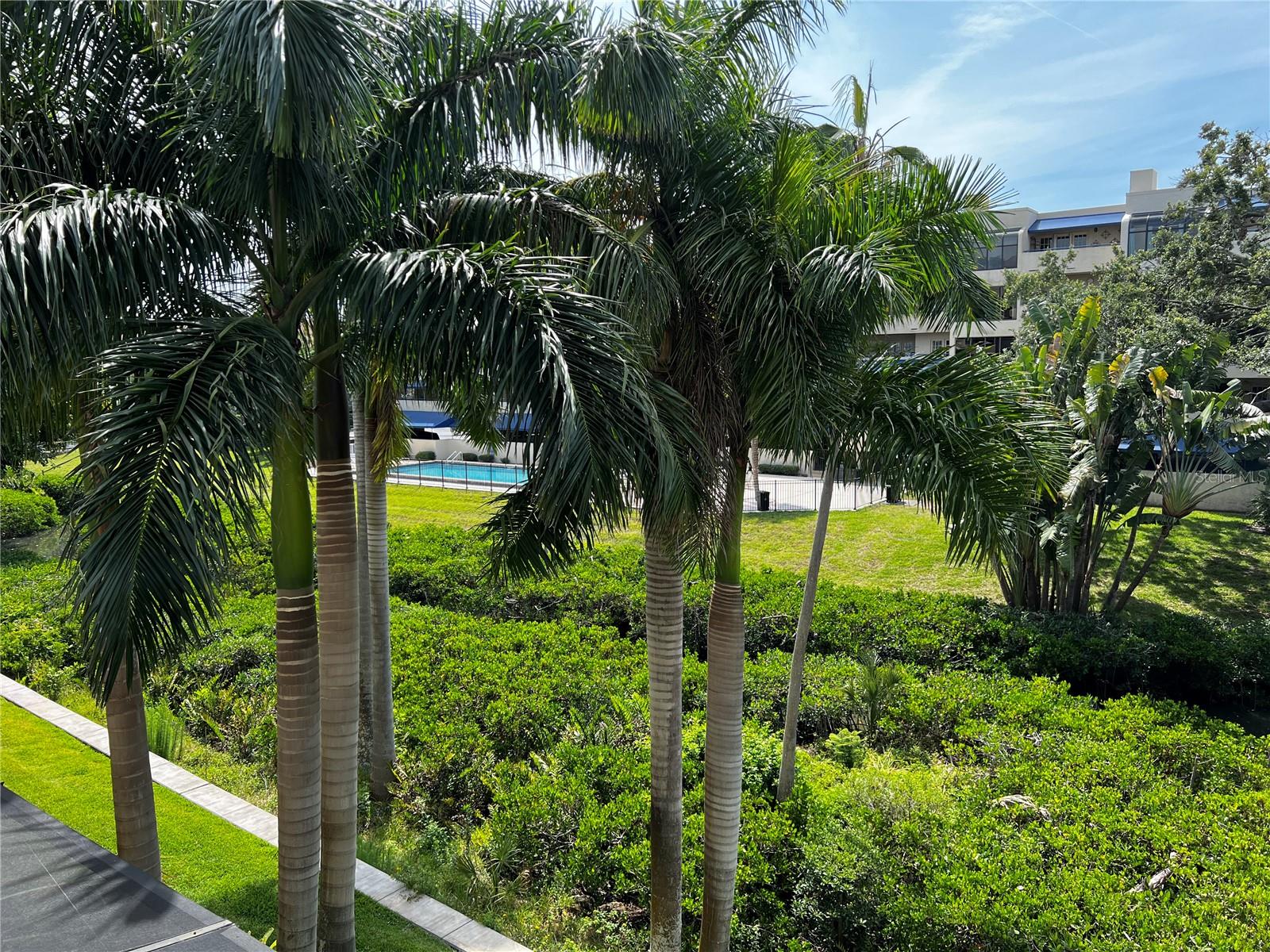 Lanai View