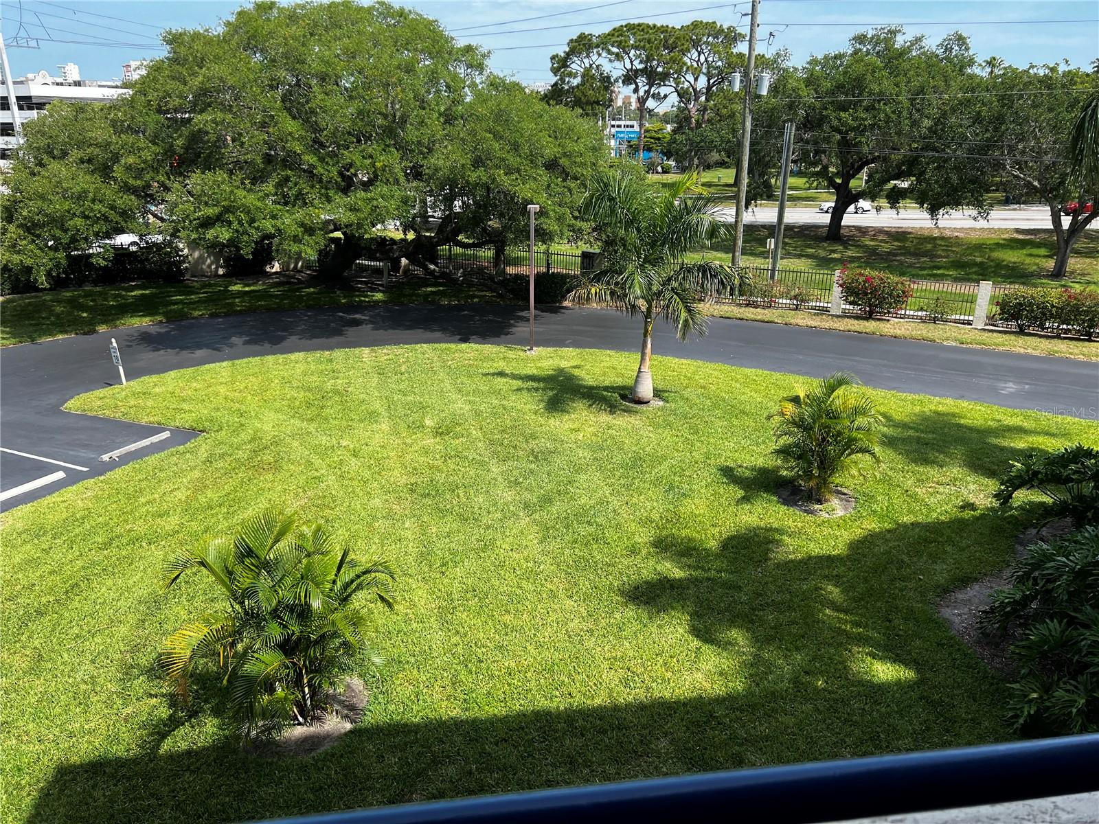 Community Foliage