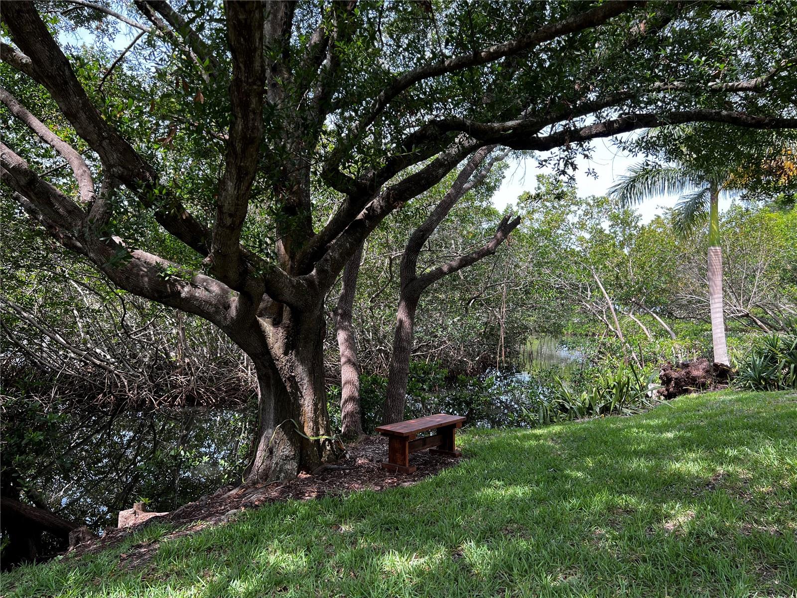 Community Foliage
