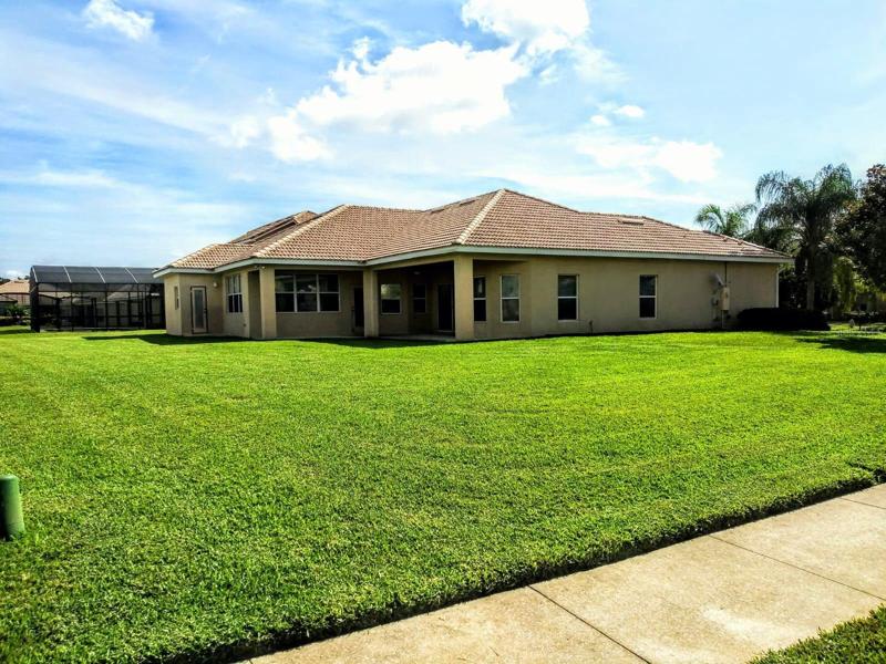 Back yard
