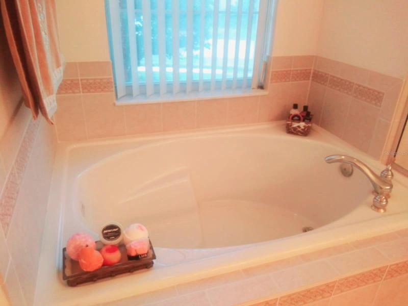 Master Bedroom Bath tub