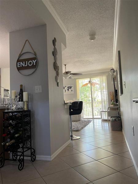 Kitchen/Living room/Lanai