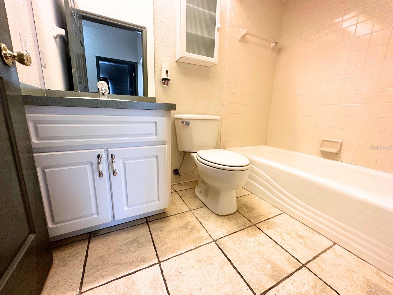 Hall bathroom.