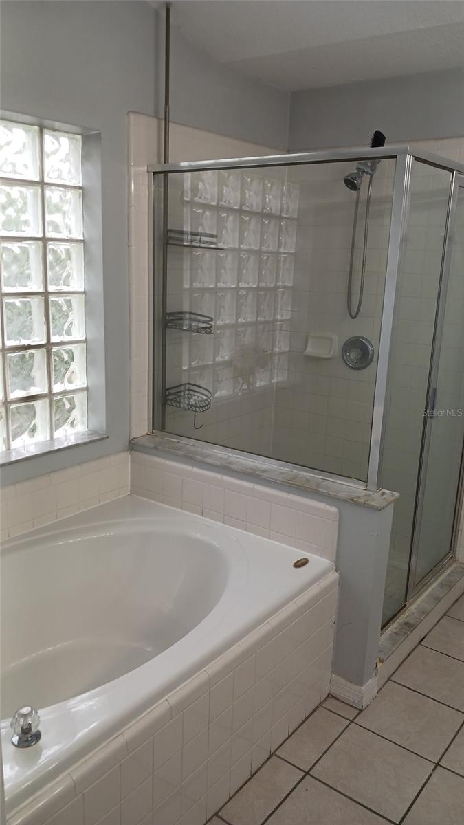Master bathroom