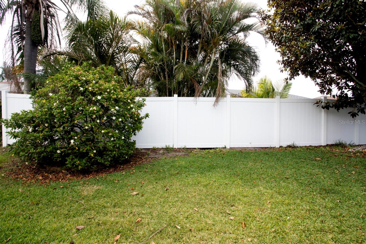 Gardenia Bush