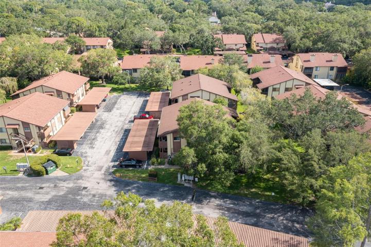 Yorktown in Safety Harbor