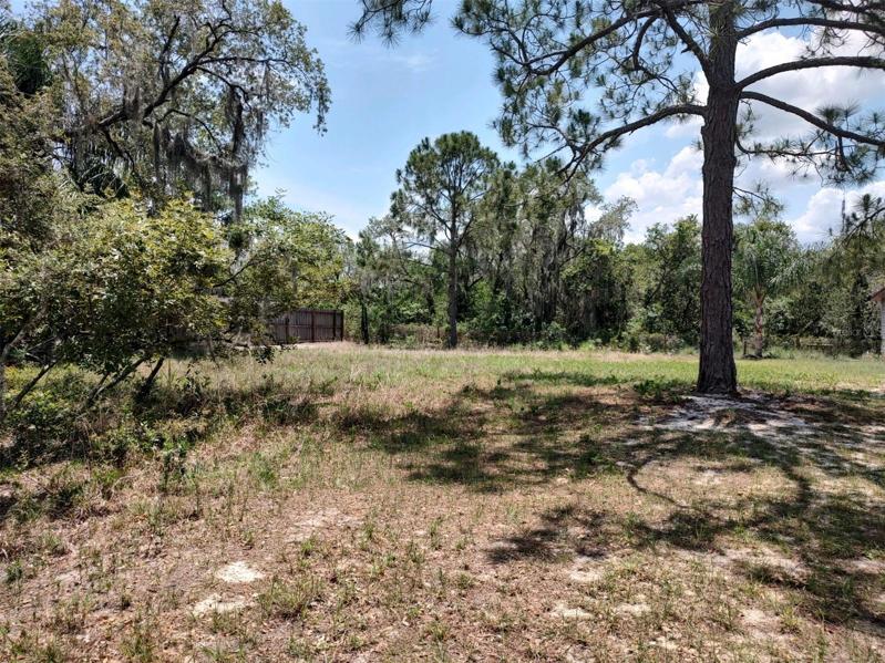 Lot features views of the woods