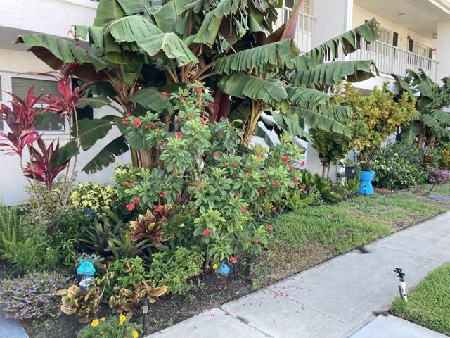 Flowers in front of building.