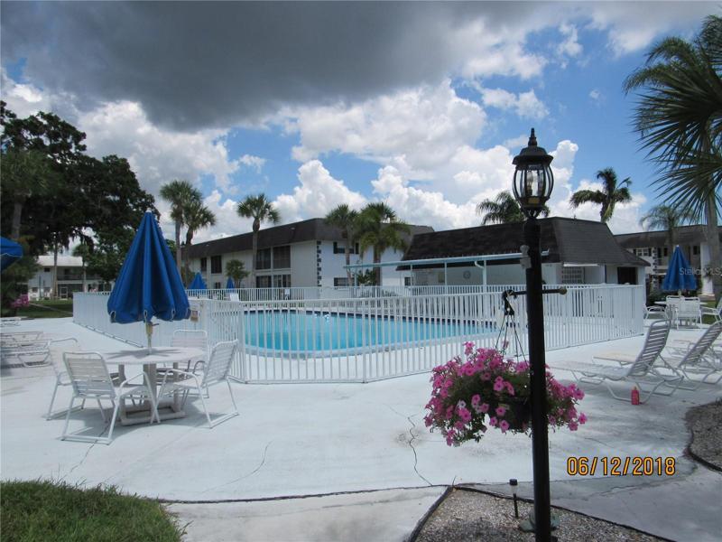 Area around pool.