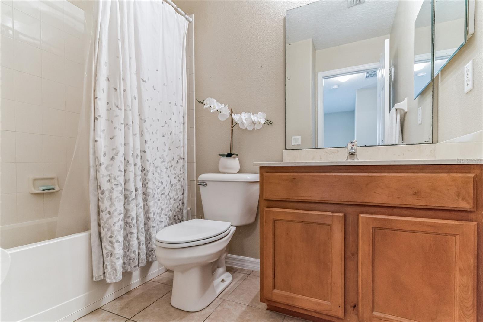 Guest bathroom