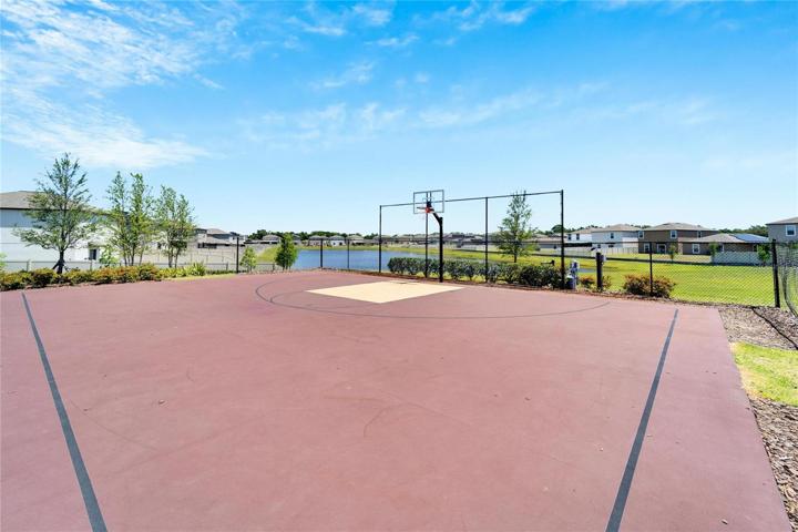 Basketball Court