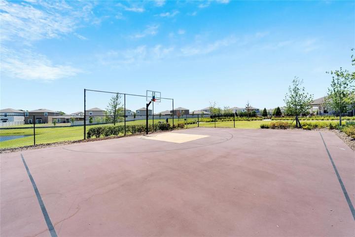 Basketball Court