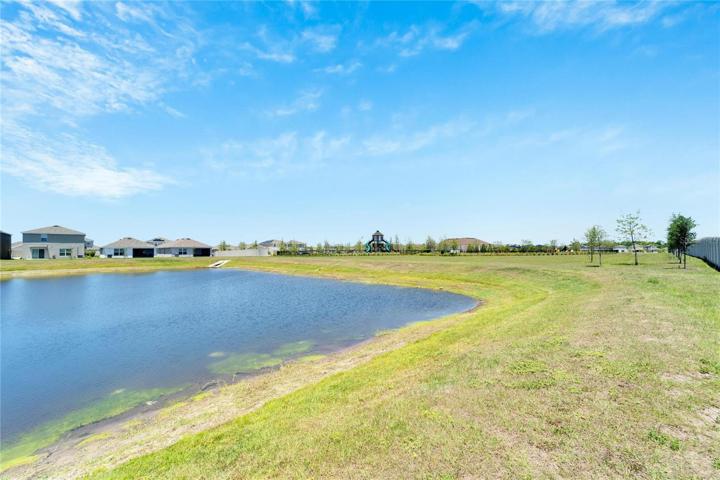 Pond