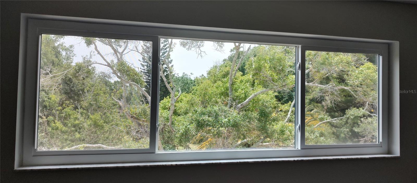 Amazing windows!