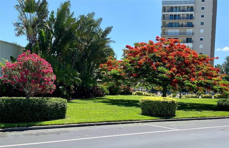 Beautiful landscaping throughout