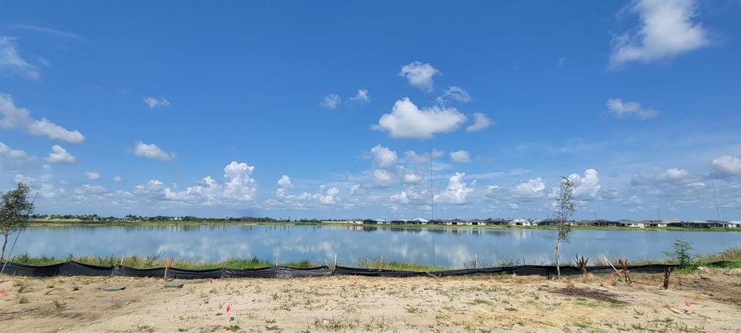 Backyard view (Lake Babcock)