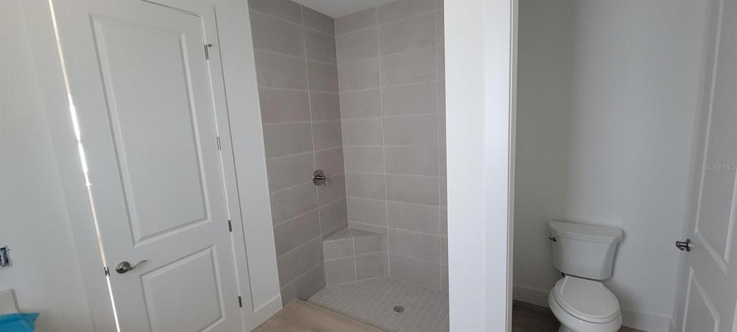 Primary bathroom shower and water closet