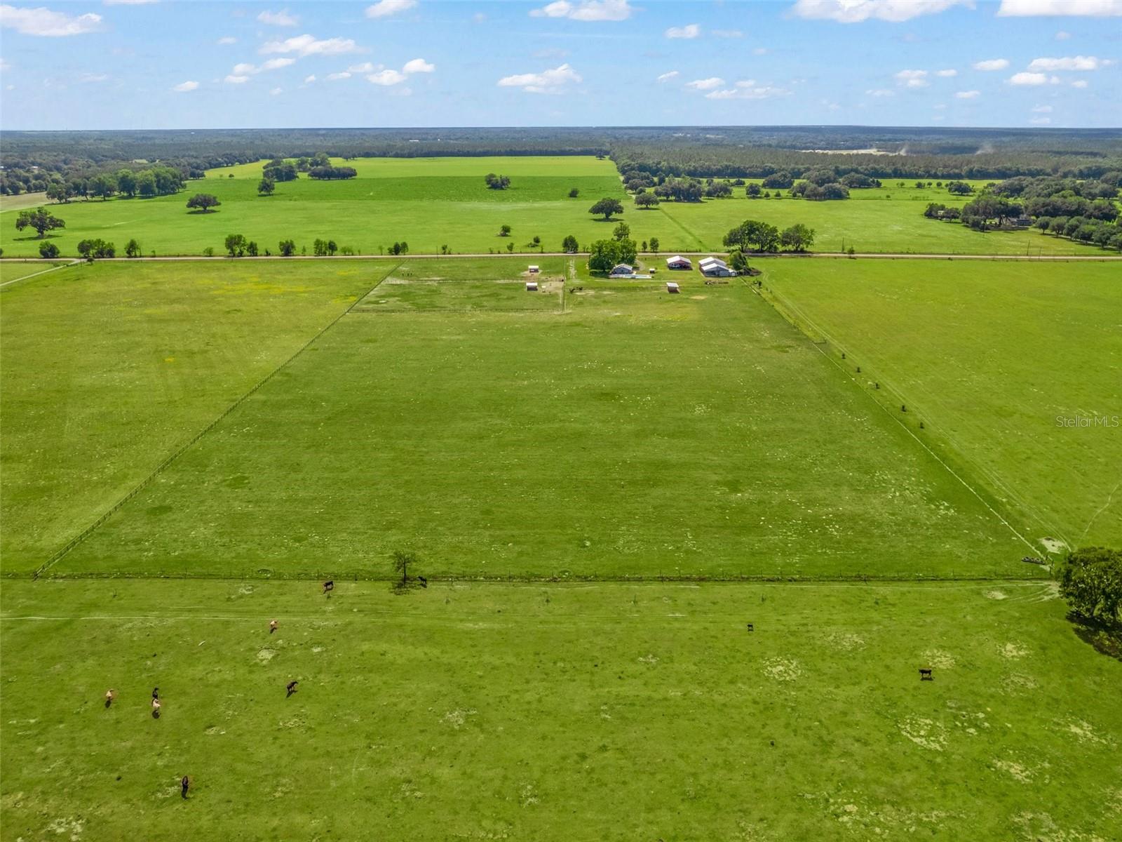 From the back of the property