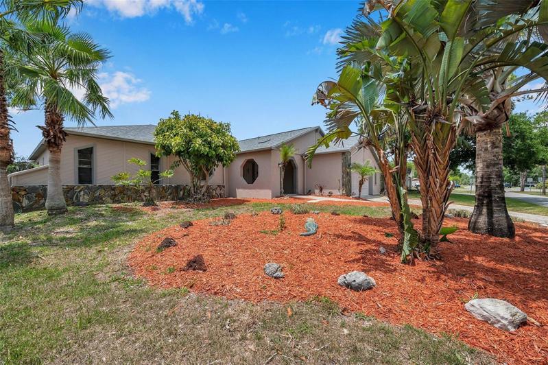 Front Yard