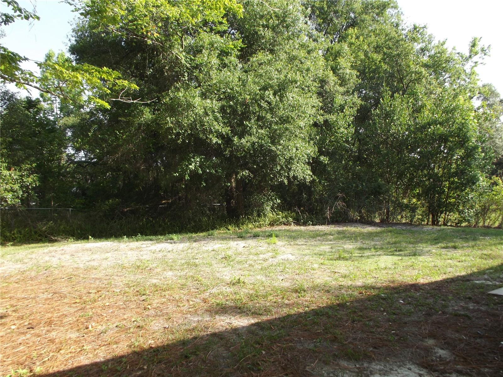 Big backyard