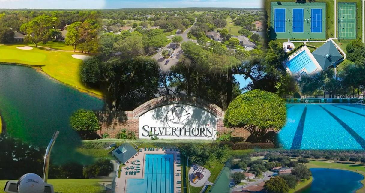 Welcome Home  to Silverthorn!