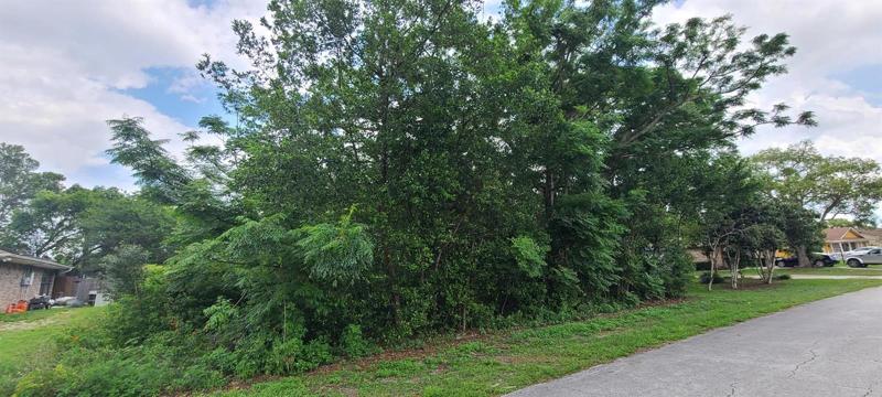 Front Lot view currently.
