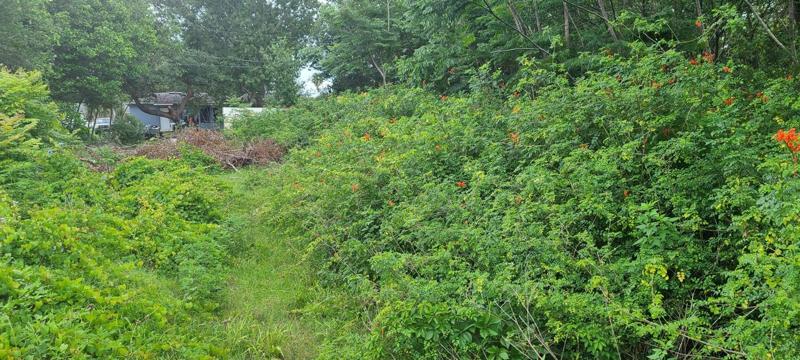 North side of the lot next to neighbor.