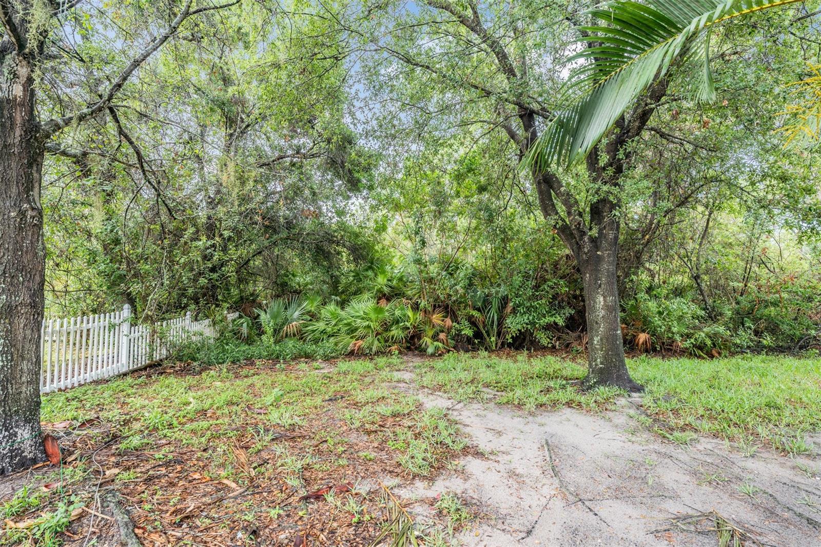 conservation lot, no rear neighbors