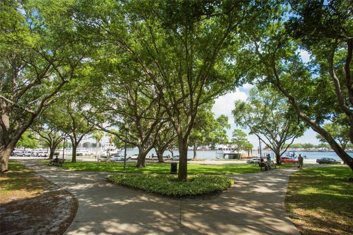 N. Straub Park, right outside your door