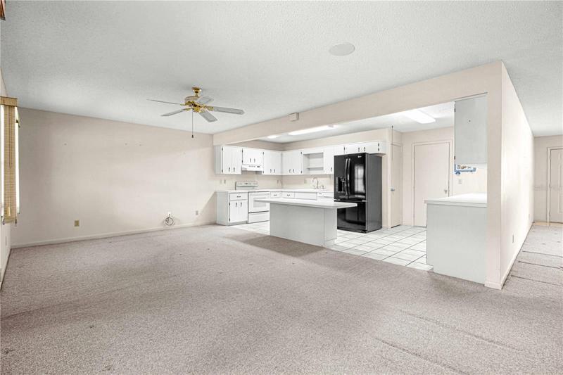 Open Concept Kitchen