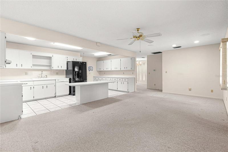 Kitchen & Great Room