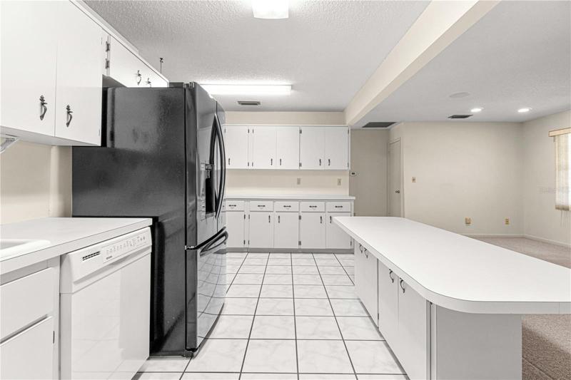 LOTS of Counter Space