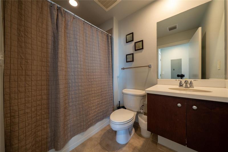2nd bathroom shower curtain