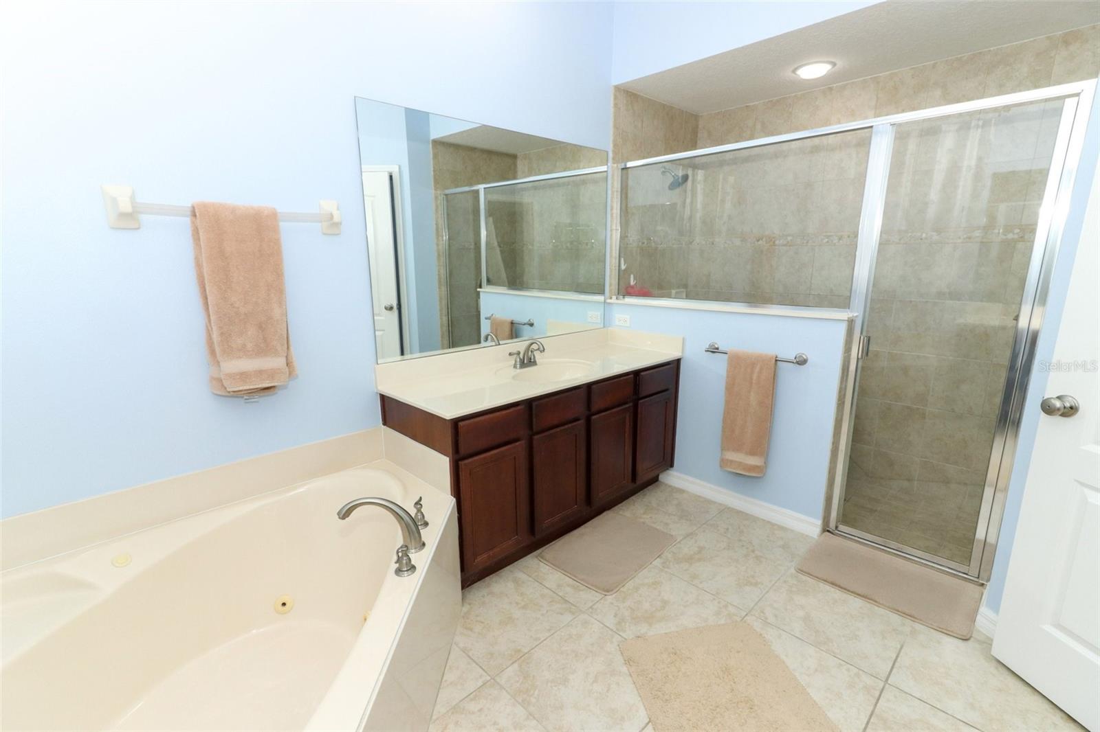 Master Bathroom Alt View
