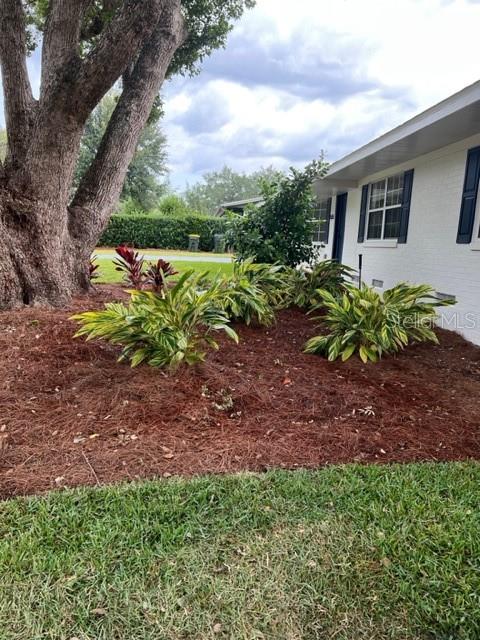 Side yard