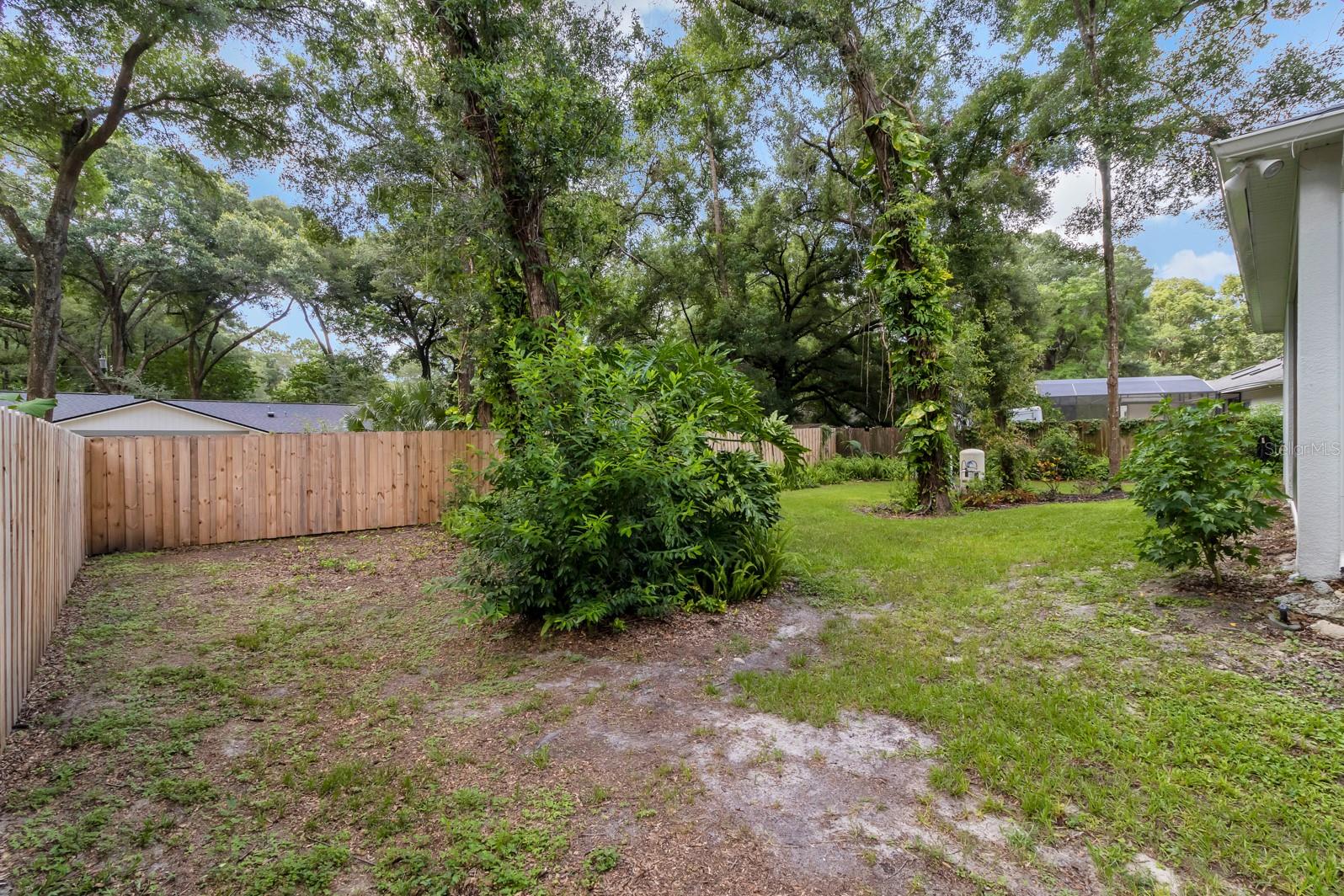Backyard