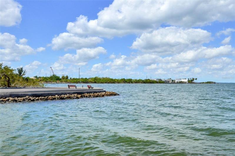 There are very few places in Tampa with views like this!