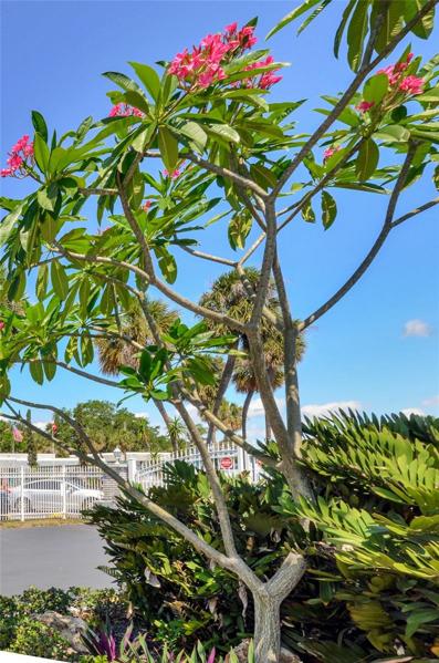 Tropical plants throughout the grounds