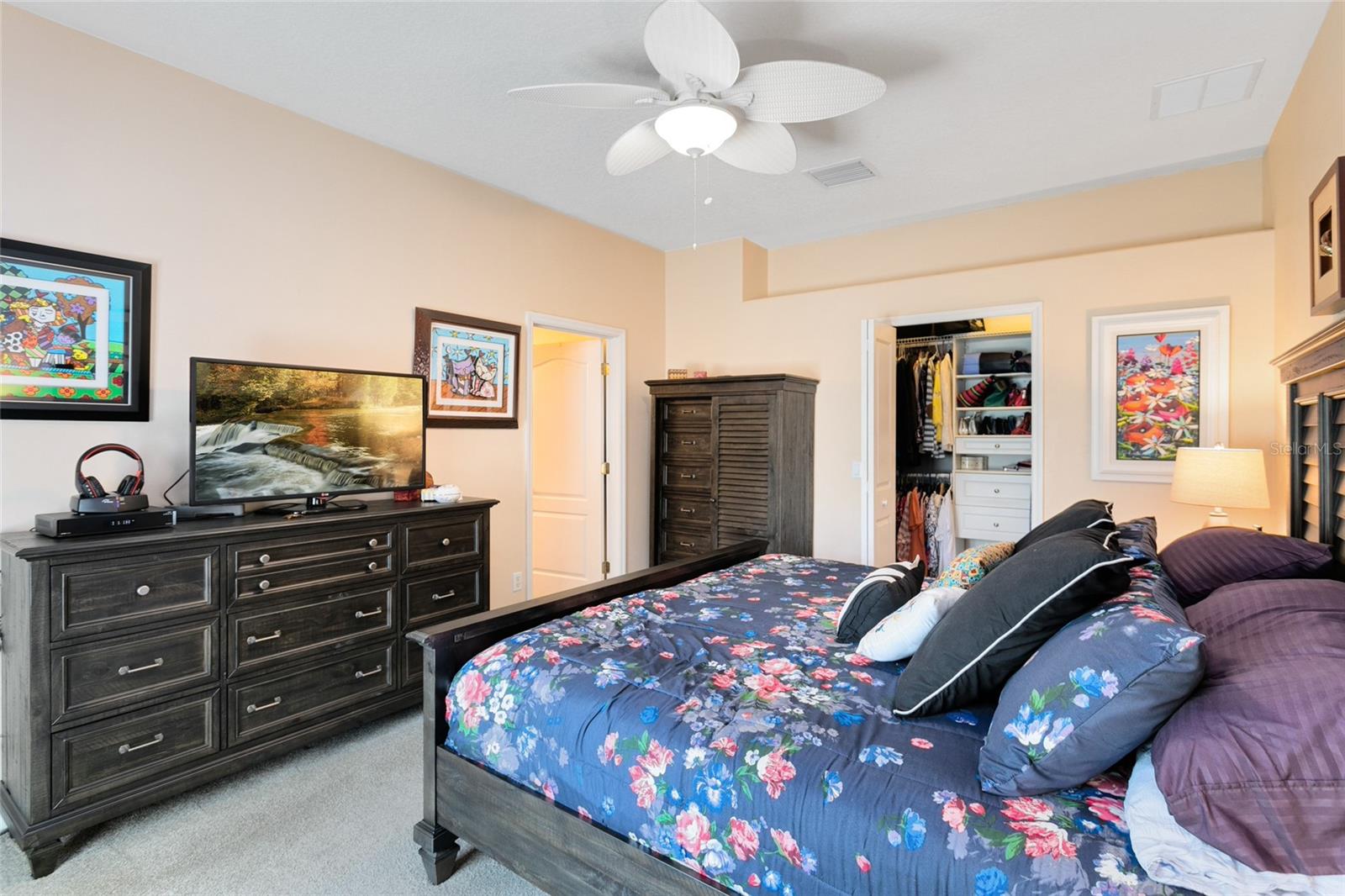 Walk-in Closet and Newer Carpeting