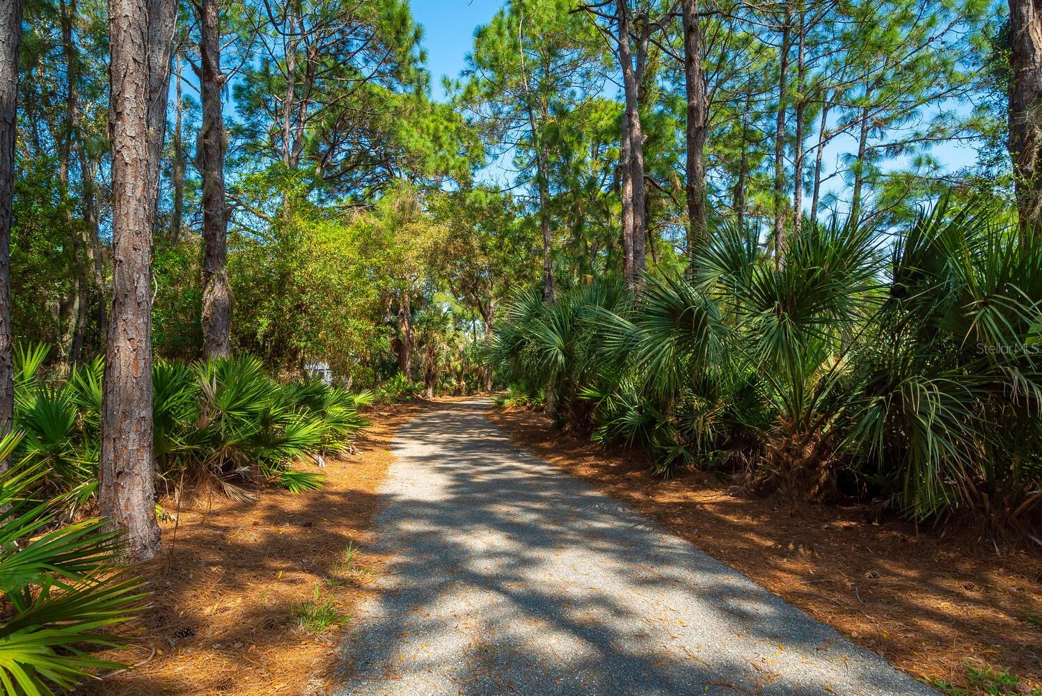 Pine View School Path