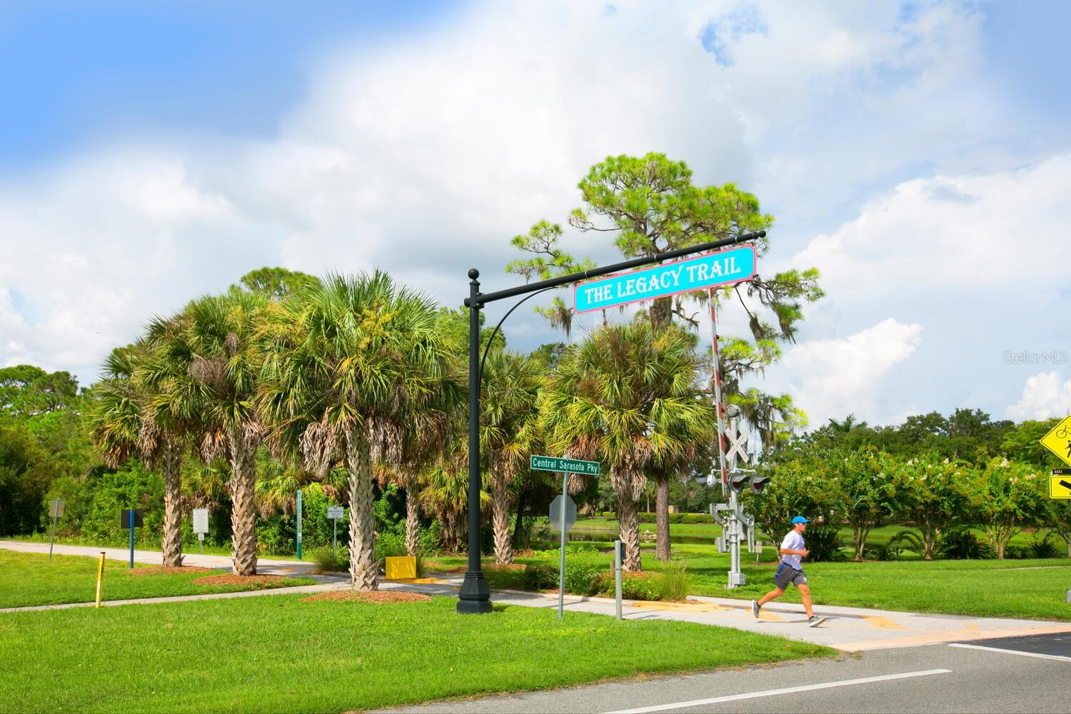 Pine View School Path
