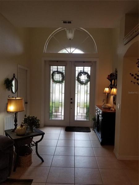 beautiful lighted accent door