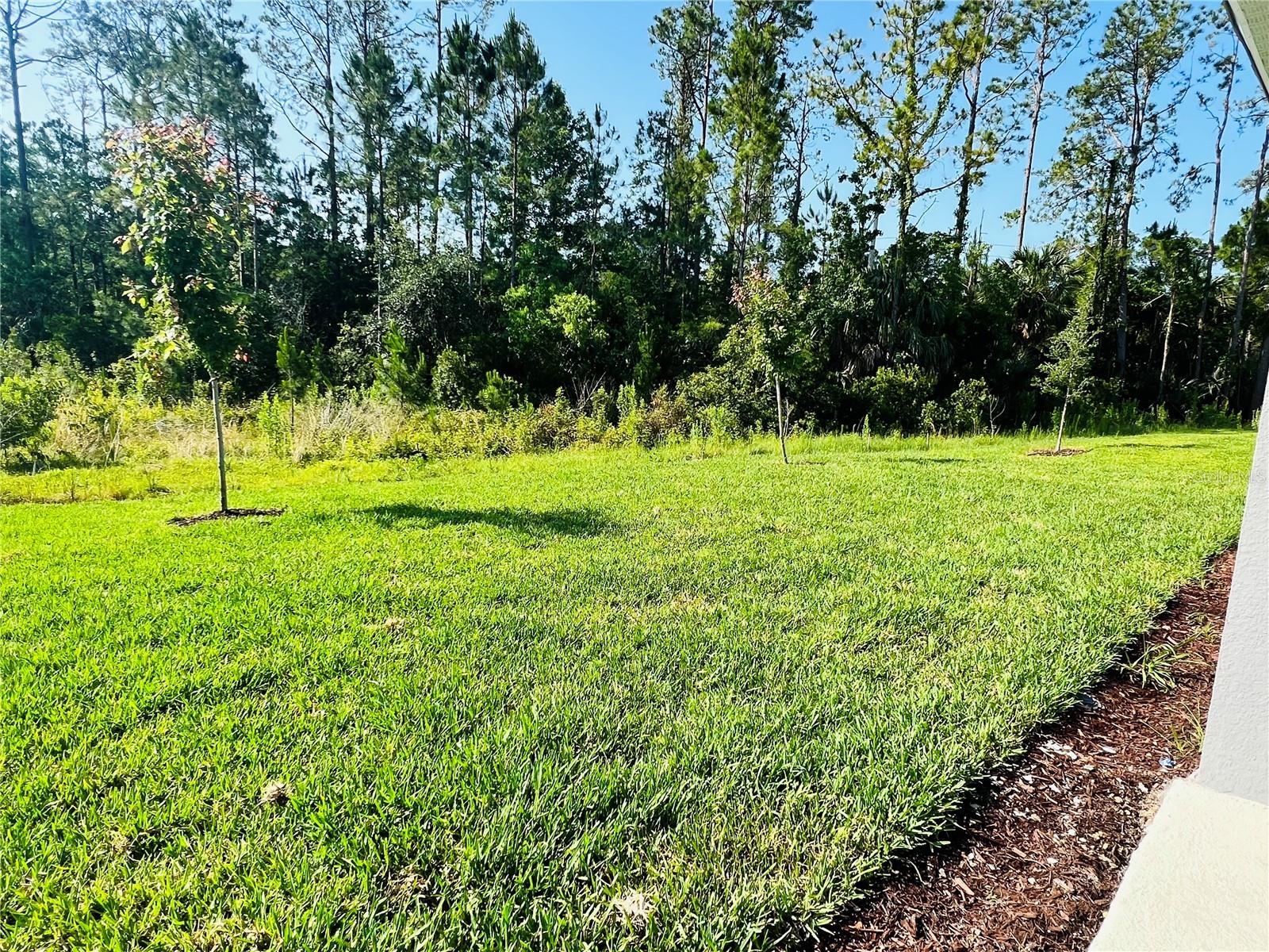 Backyard with Conservation Area