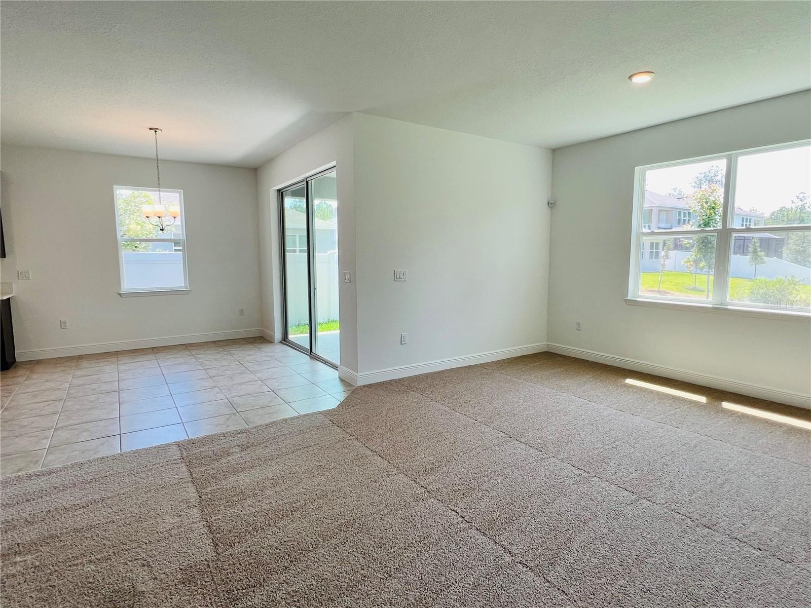 Living Area/ Dining Room