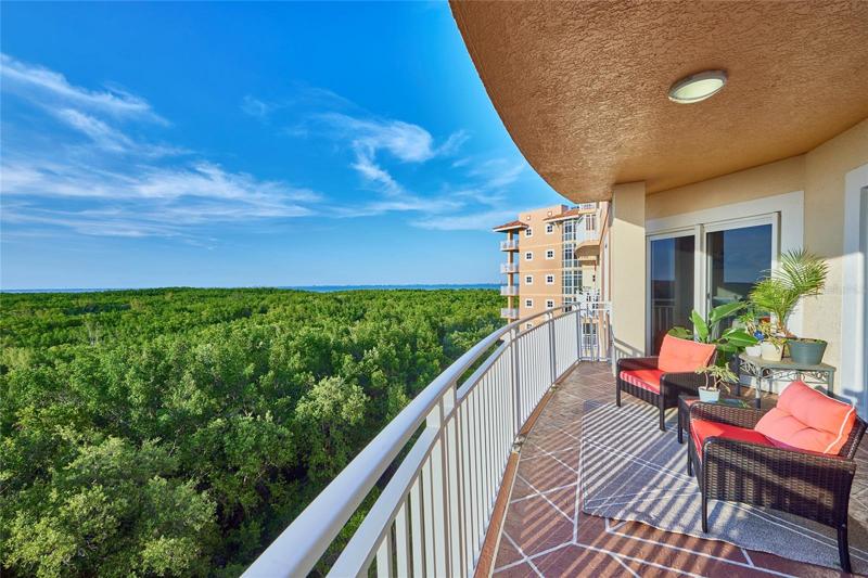 Balcony facing north looking towards Tampa Bay.