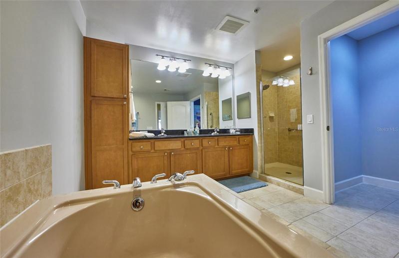 Master bathroom.