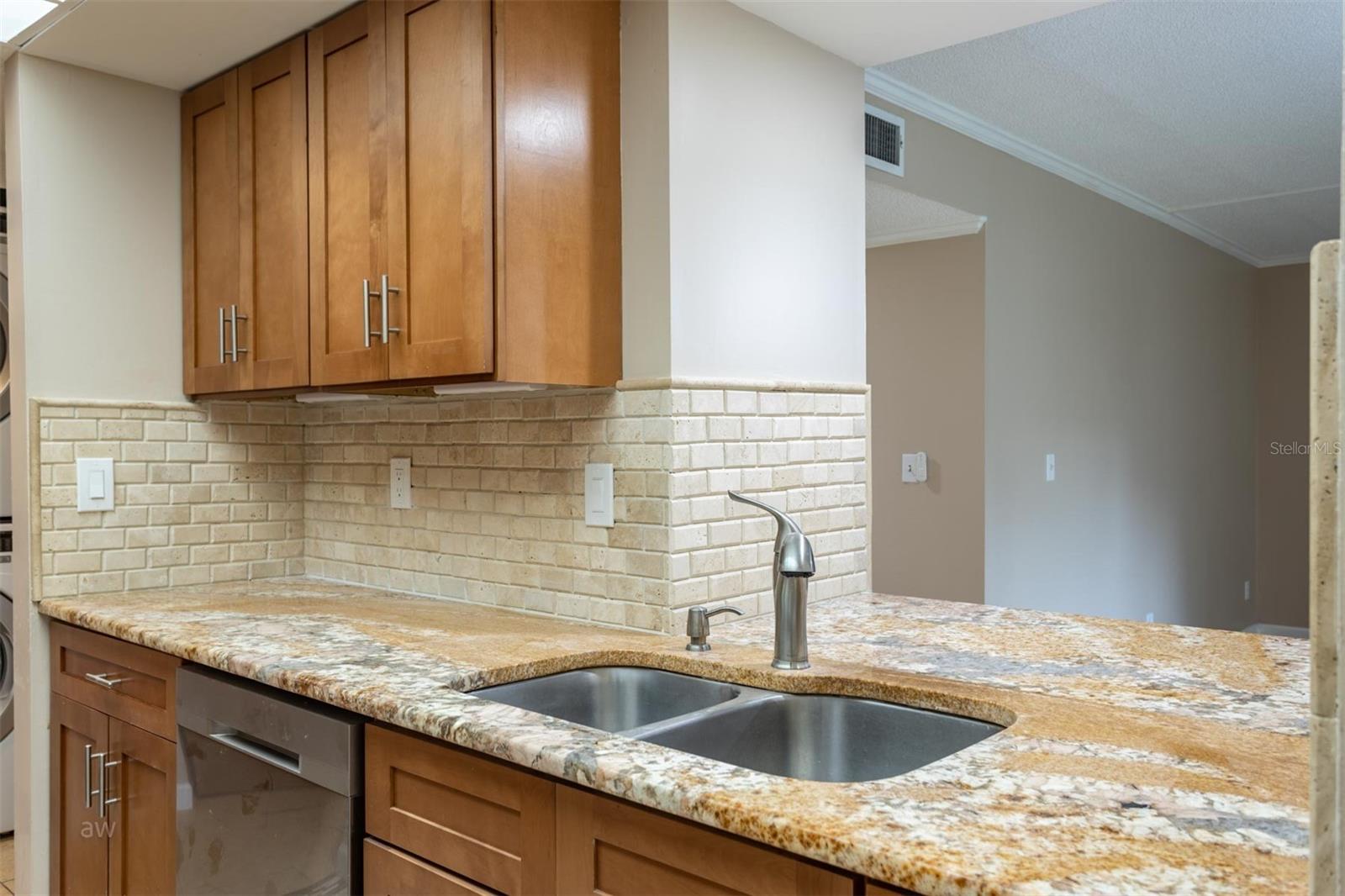 Stainless newer dishwasher near double, stainless undermount sink.