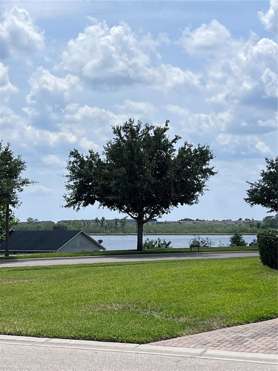 view from garage