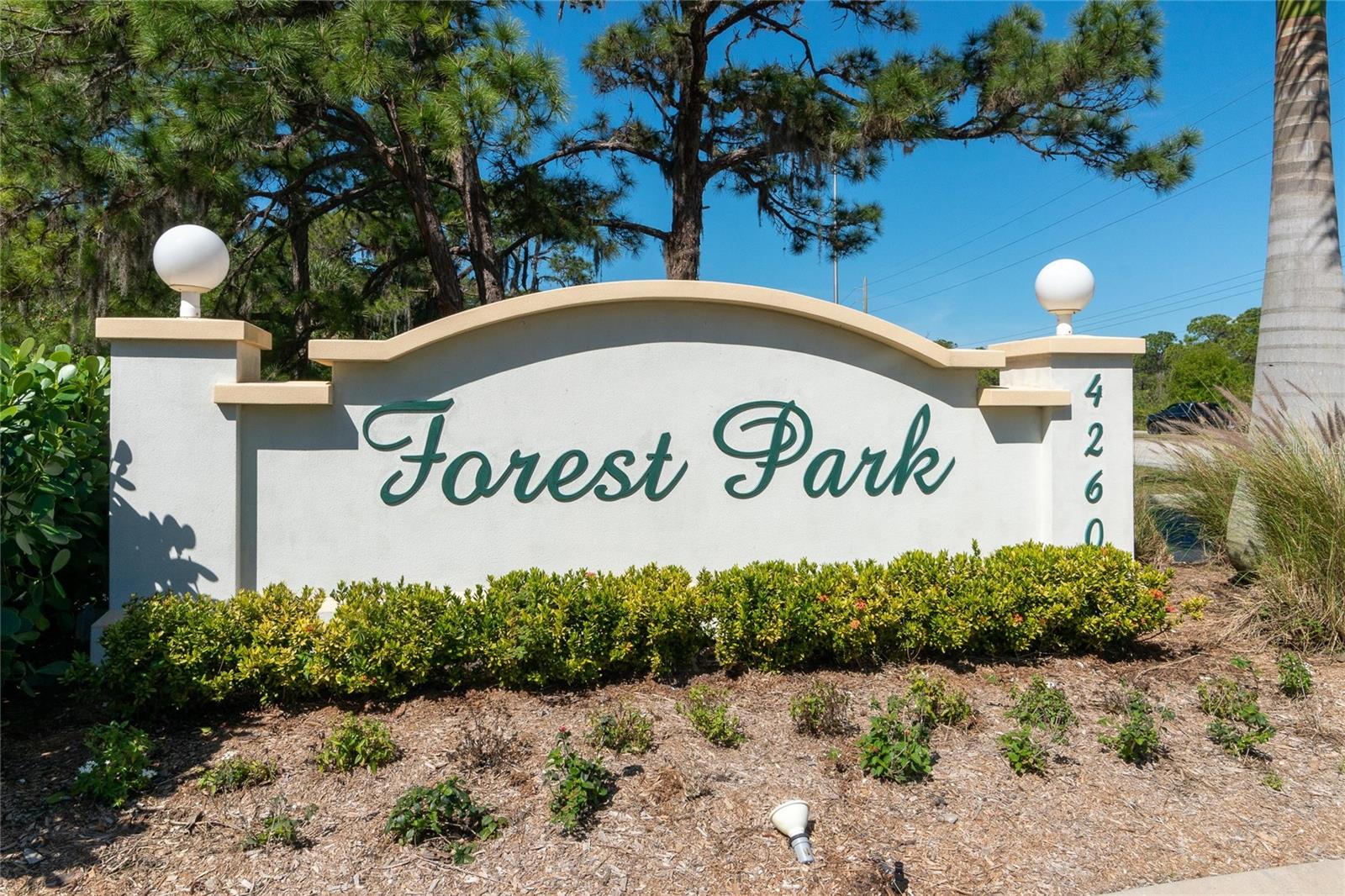 Welcome to Forest Park!